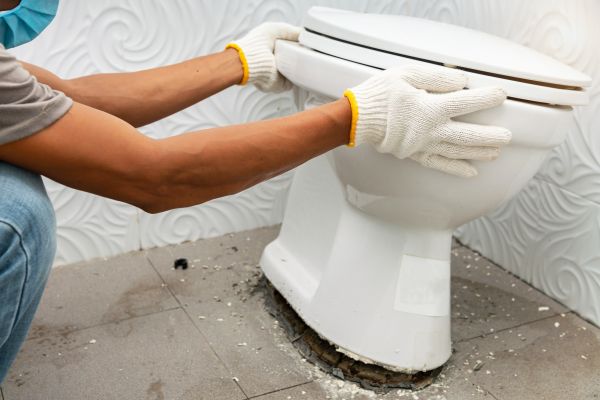 Cost of Toilet Removal in Joliet